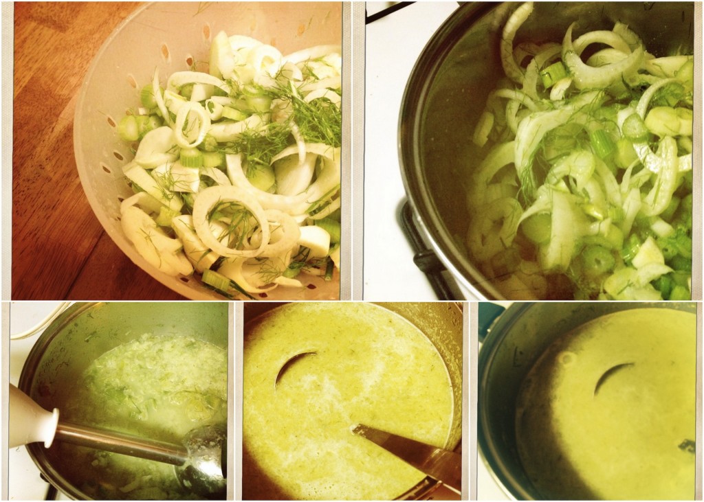 Fennel Soup